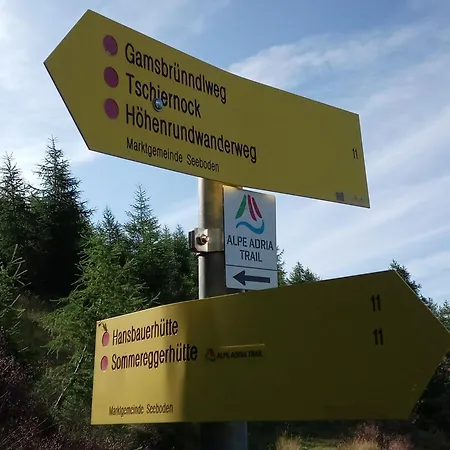 Almhütte Tschiernock